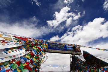 _MG_2564.jpg