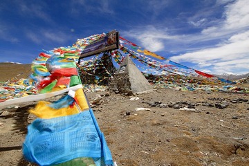 _MG_2571.jpg