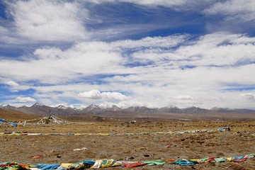 _MG_2578.jpg