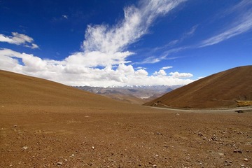 _MG_2585.jpg
