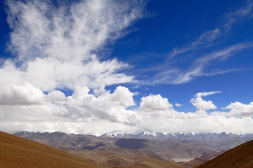 _MG_2603.jpg