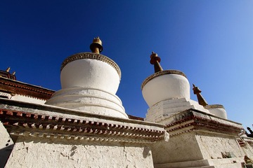 _MG_2808.jpg