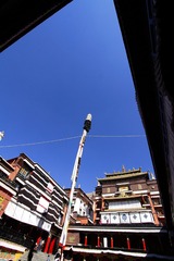 _MG_2896.jpg