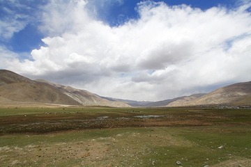 _MG_2908.jpg