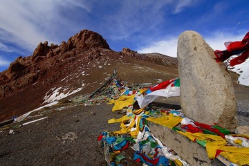 _MG_2937.jpg