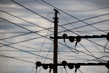 IMG_7167.JPG