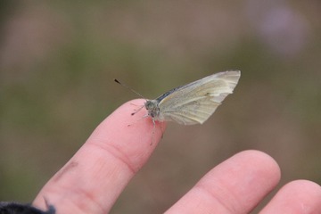 IMG_7536.JPG