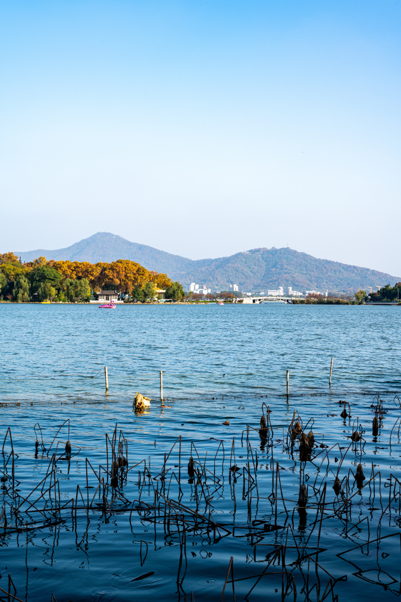 南京玄武湖秋色自然风光
