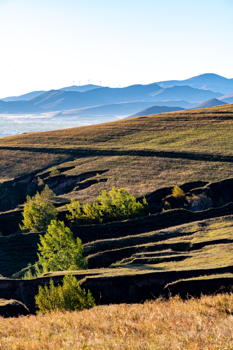 丰宁坝上草原秋色景观自然风光