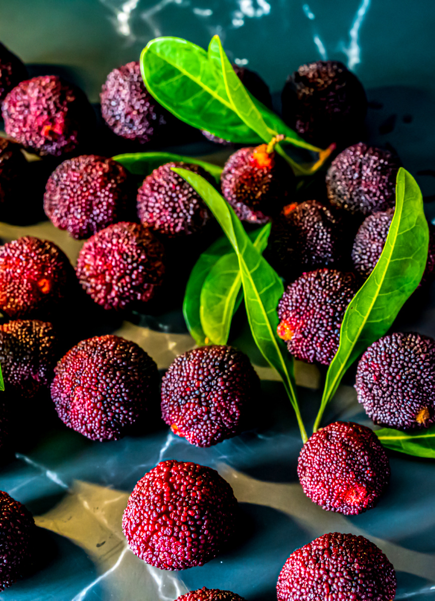 杨梅水果杨梅果实