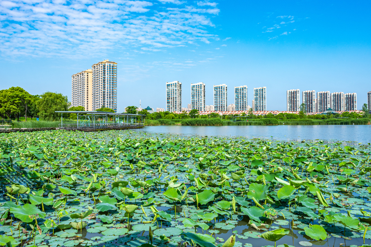 上海嘉定南翔陈翔留云湖湿地公园景观