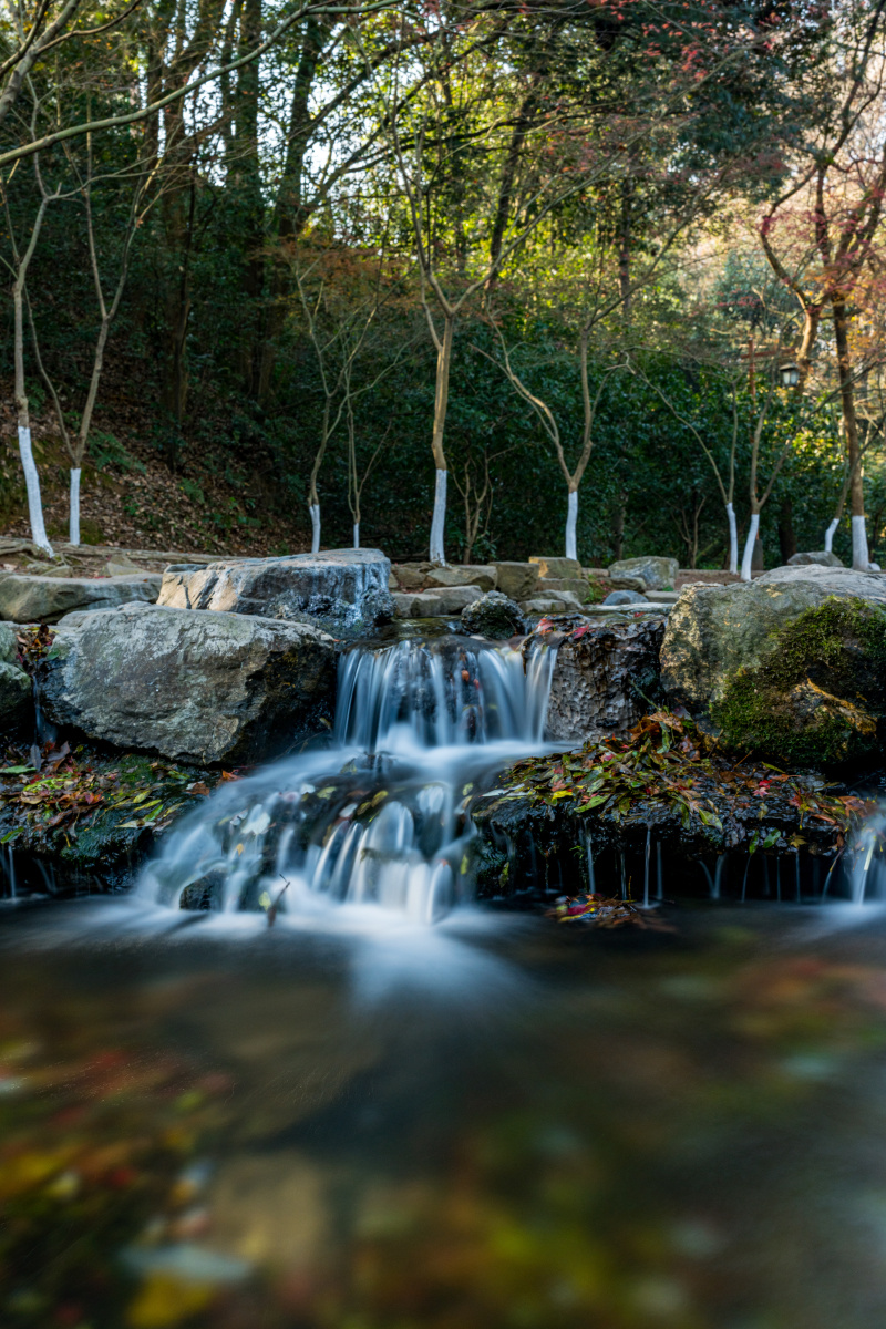 浙江杭州九溪烟树九溪十八涧西湖龙井茶基地