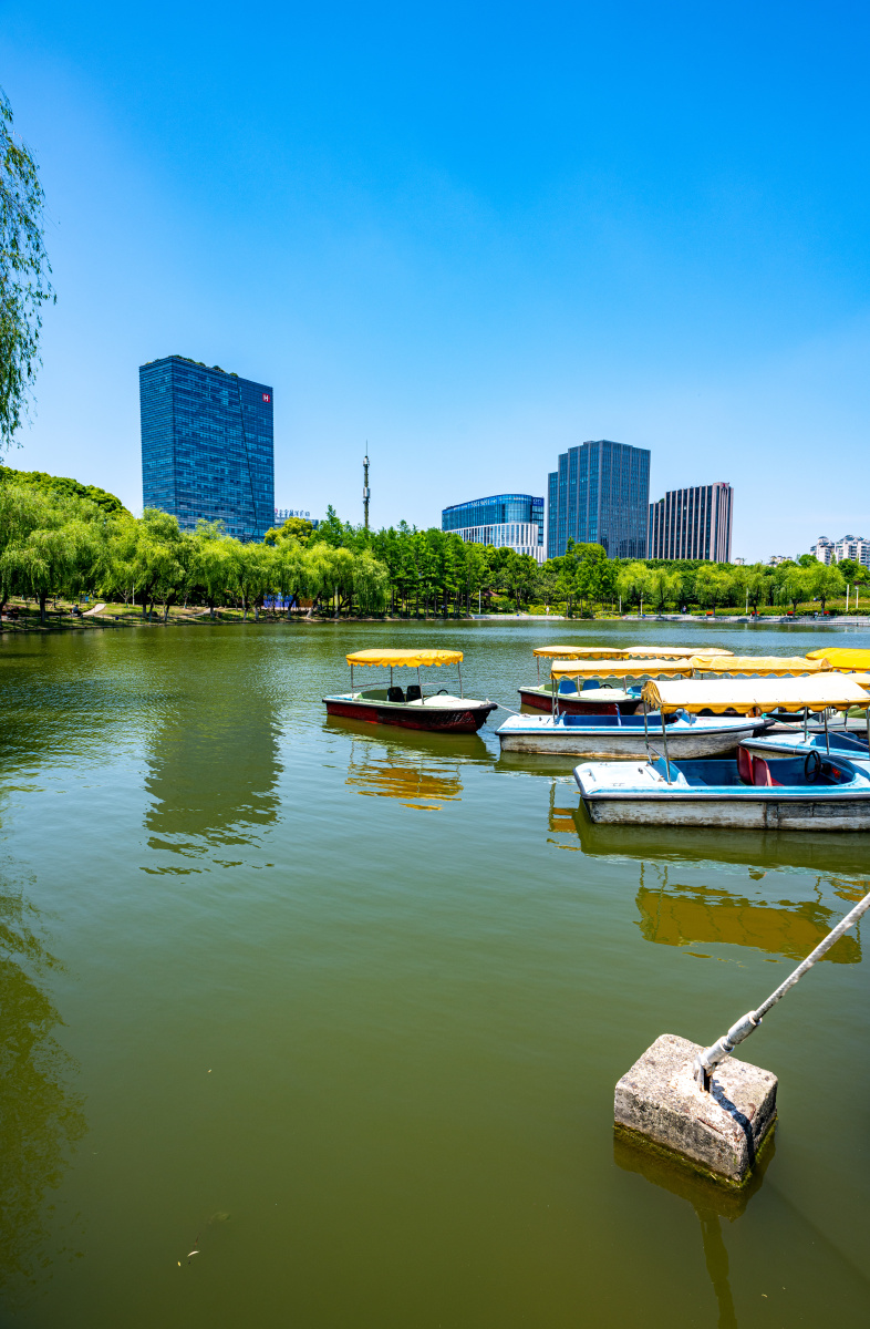 上海大宁郁金香公园景观大宁灵石公园风光