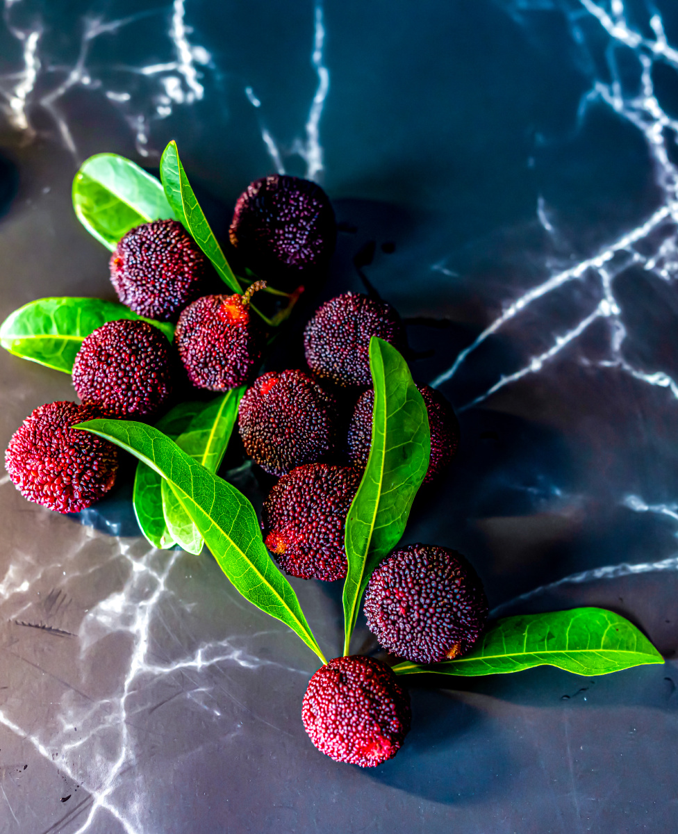 杨梅成熟时杨梅水果果实