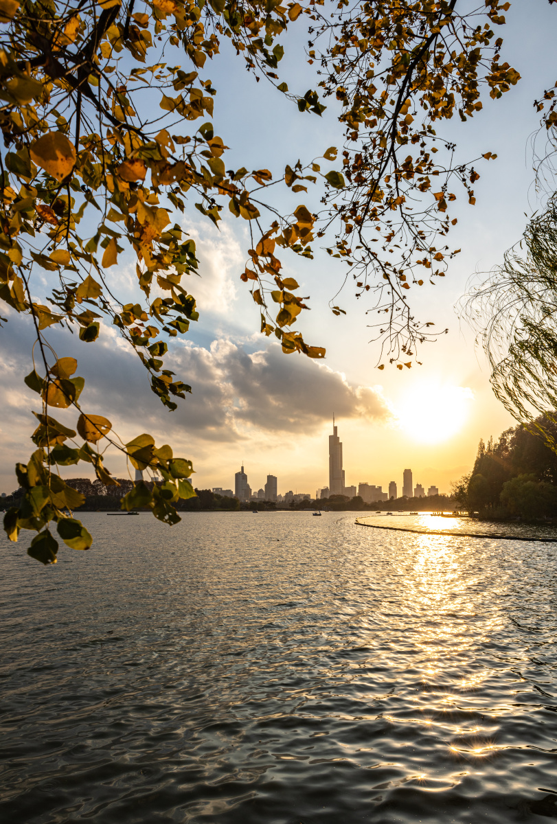 黄昏夕阳晚霞中的南京玄武湖南京城市天际线景观