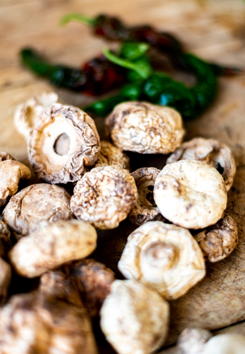 草原上的白蘑菇96坝上特产白蘑菇 - 梦未止梦dreamcont - 图虫