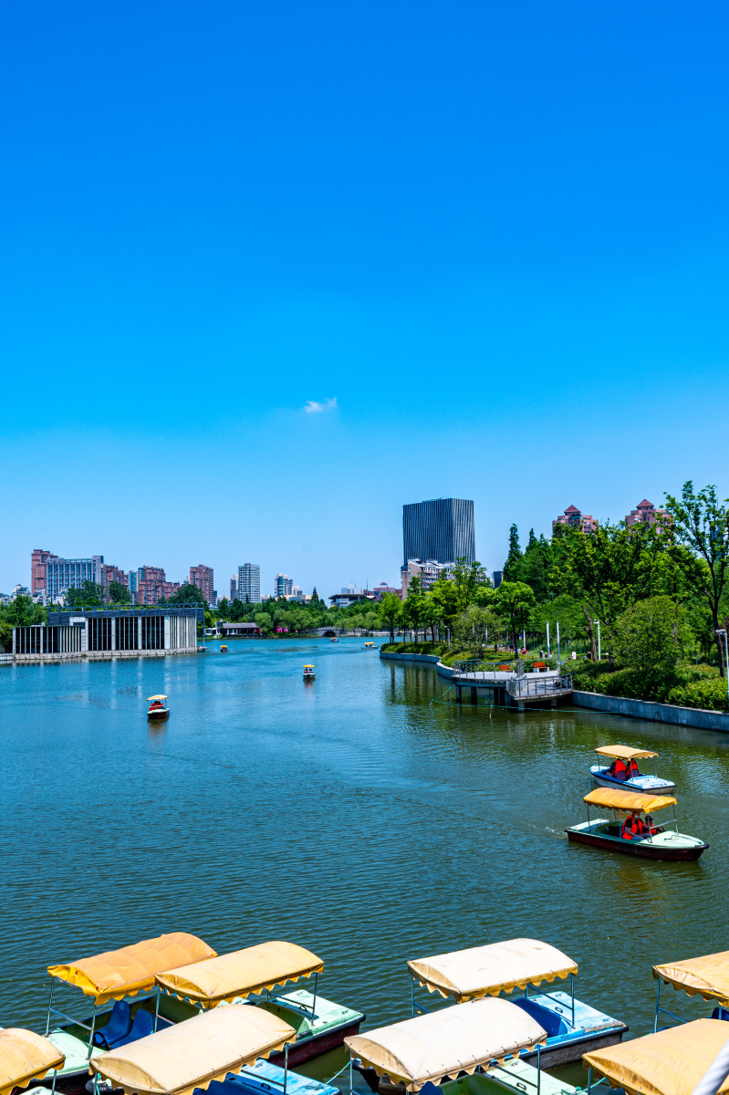 上海大宁郁金香公园景观大宁灵石公园风光