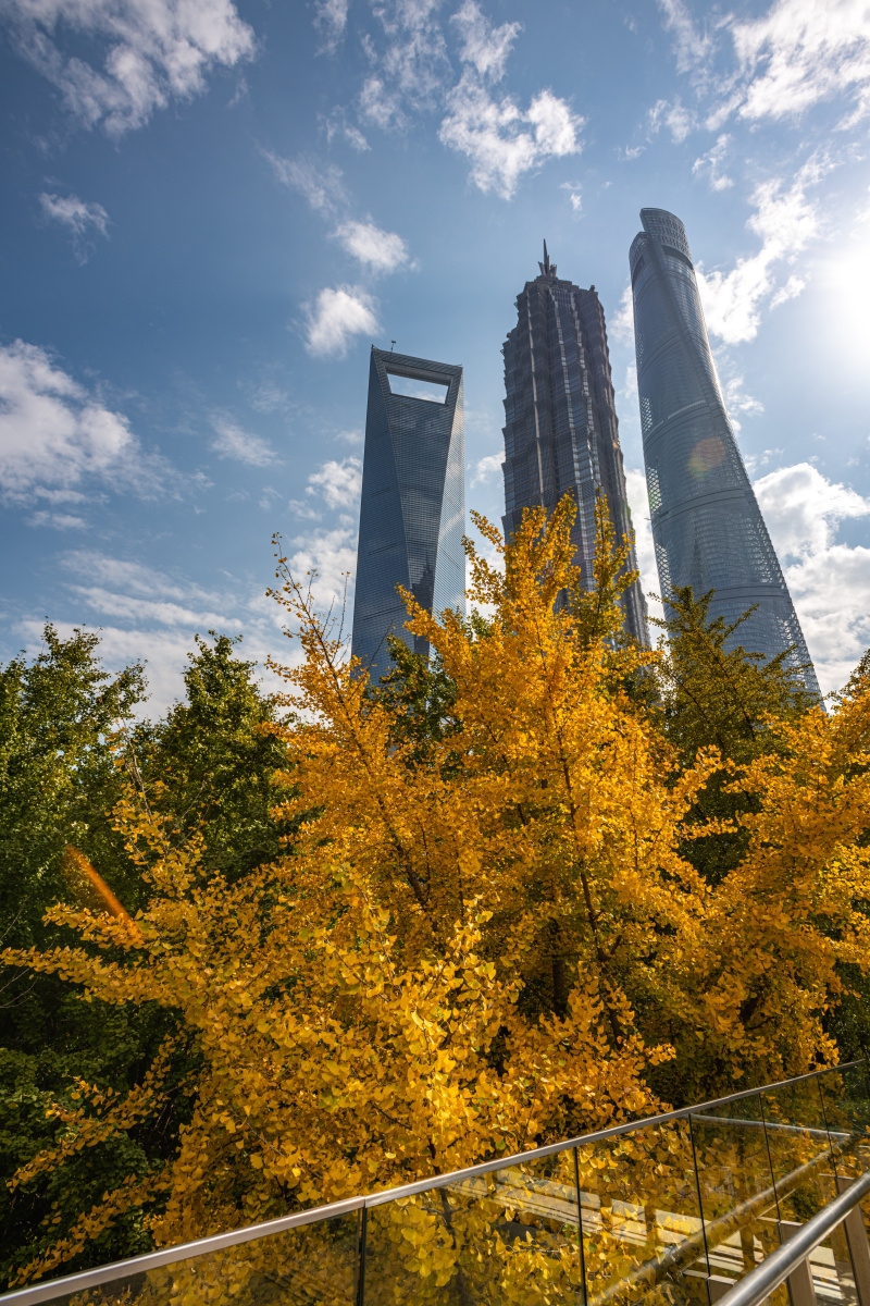 上海浦东陆家嘴城市风光上海城市天际线
