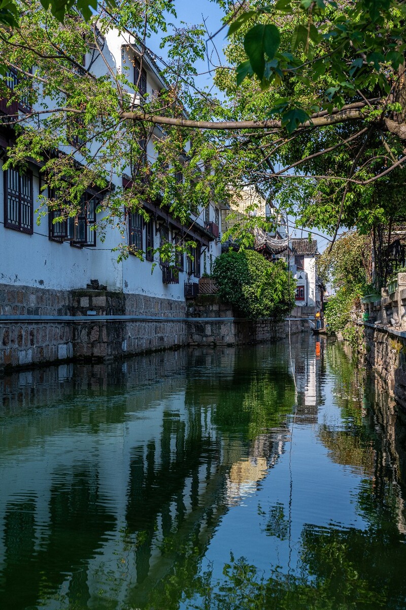 苏州.平江河巷.晚春夏早景色