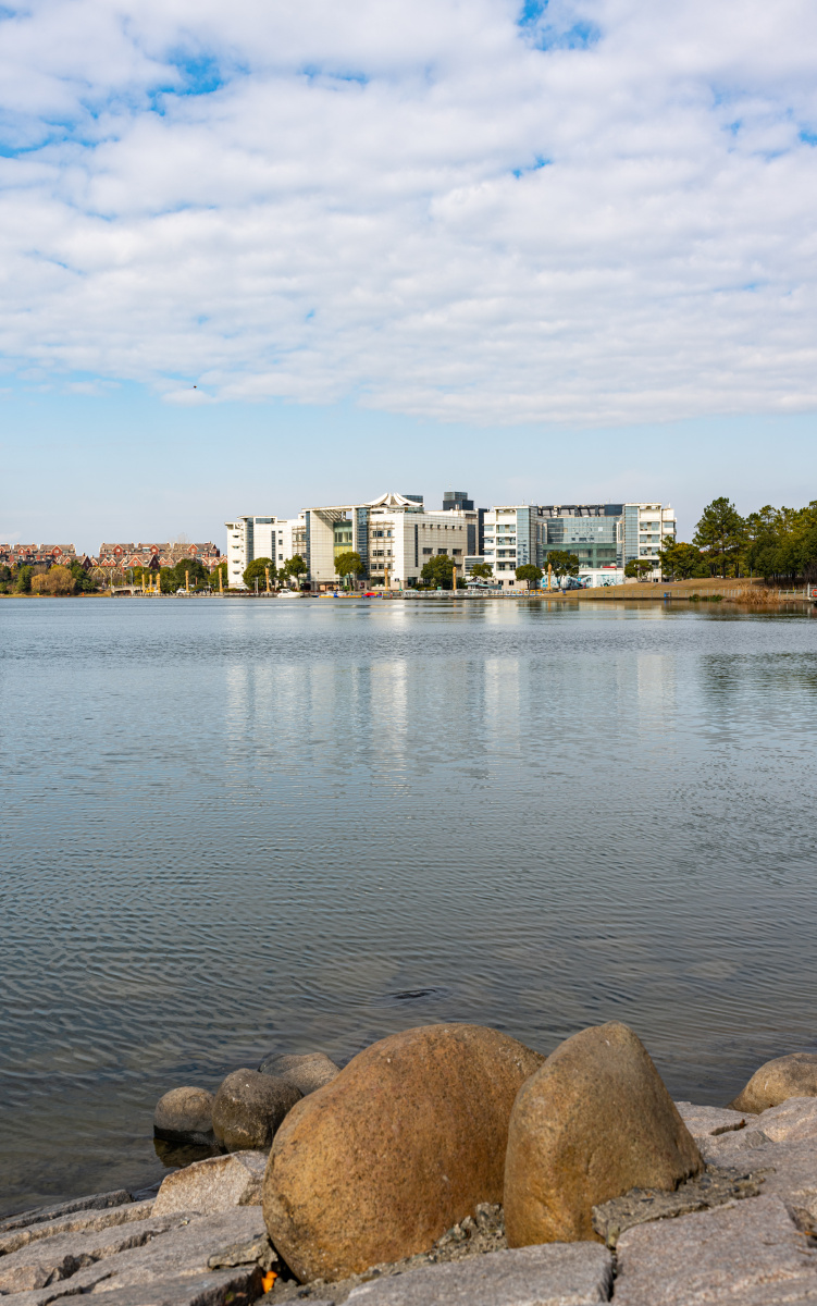 上海宝山罗店美兰湖美兰湖国际会议中心冬天的美兰湖畔美兰湖冬日风光