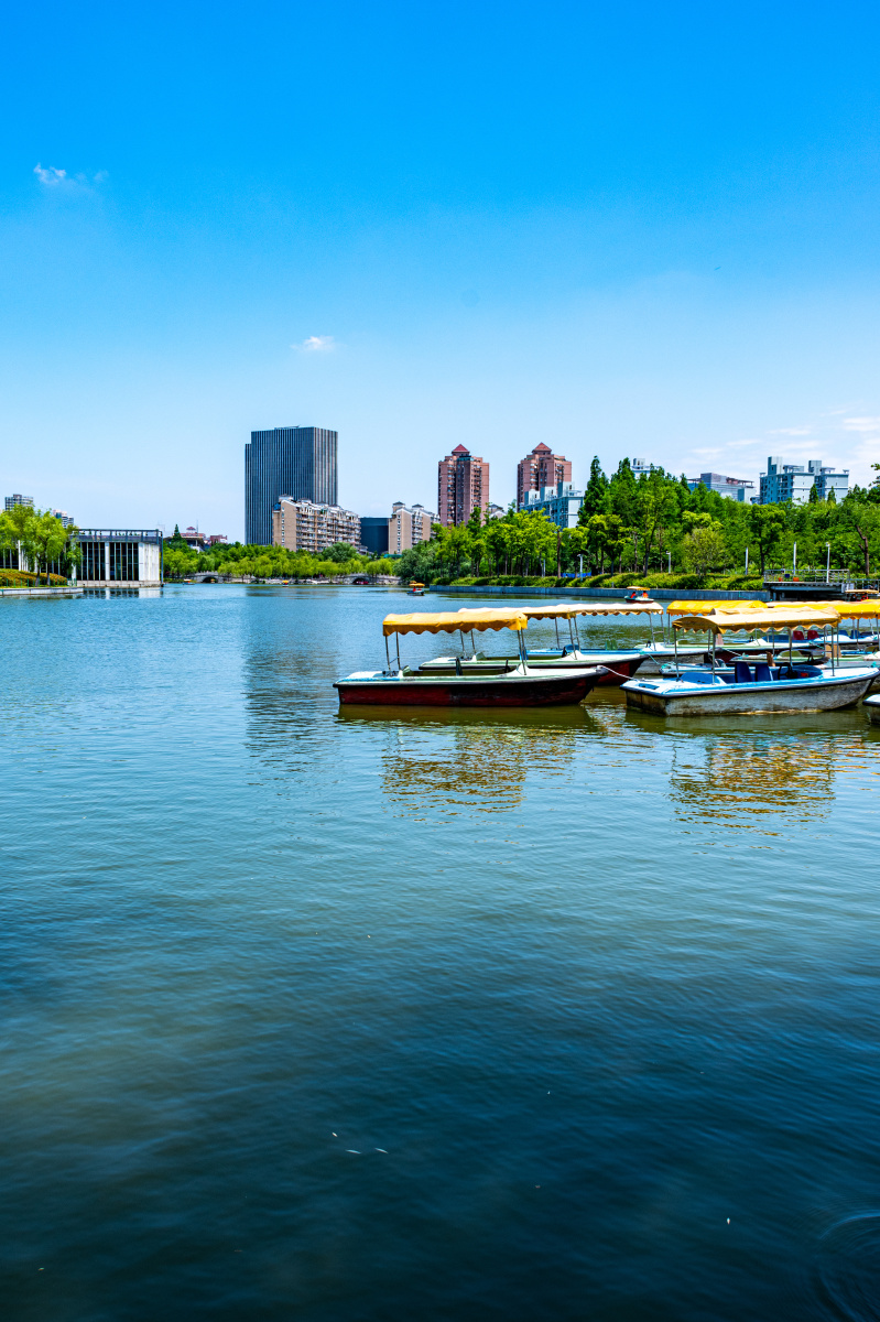 上海大宁郁金香公园景观大宁灵石公园风光