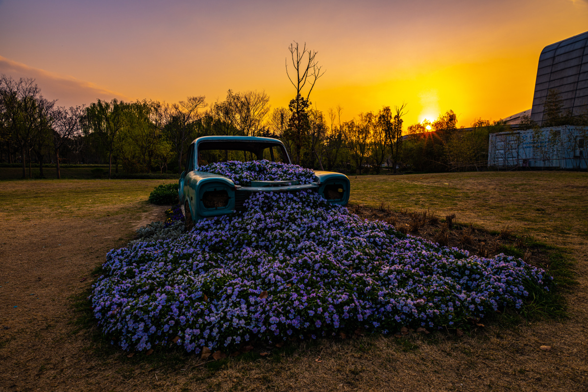 上海嘉定安亭上海汽车博览公园春天