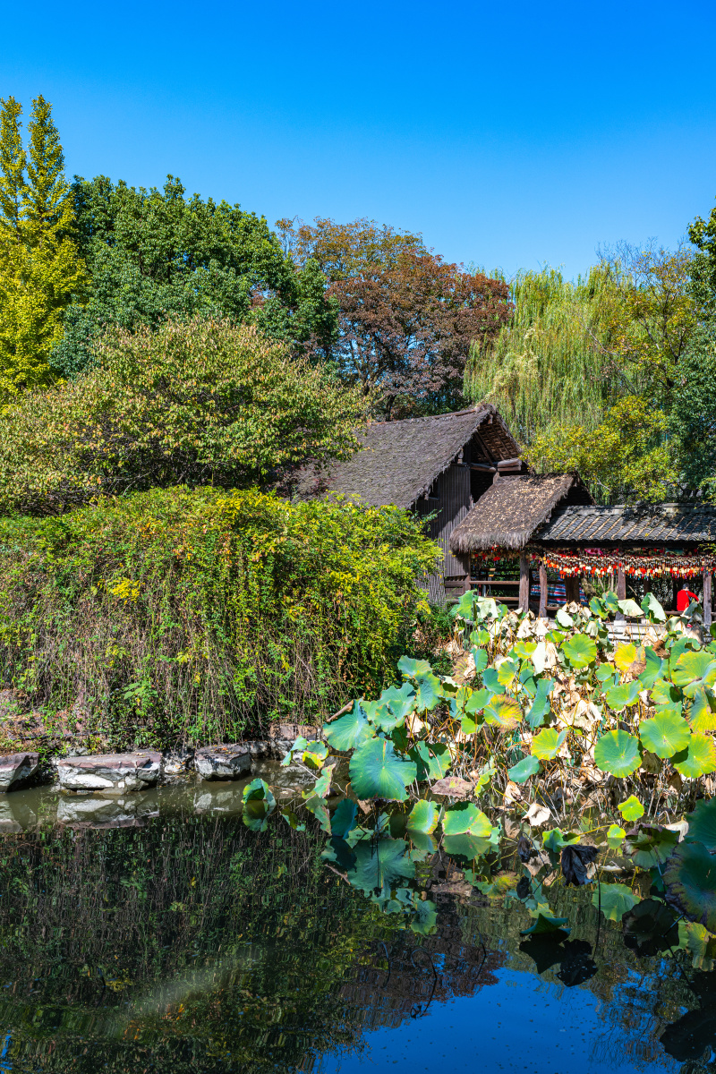 浙江绍兴沈园园林景观