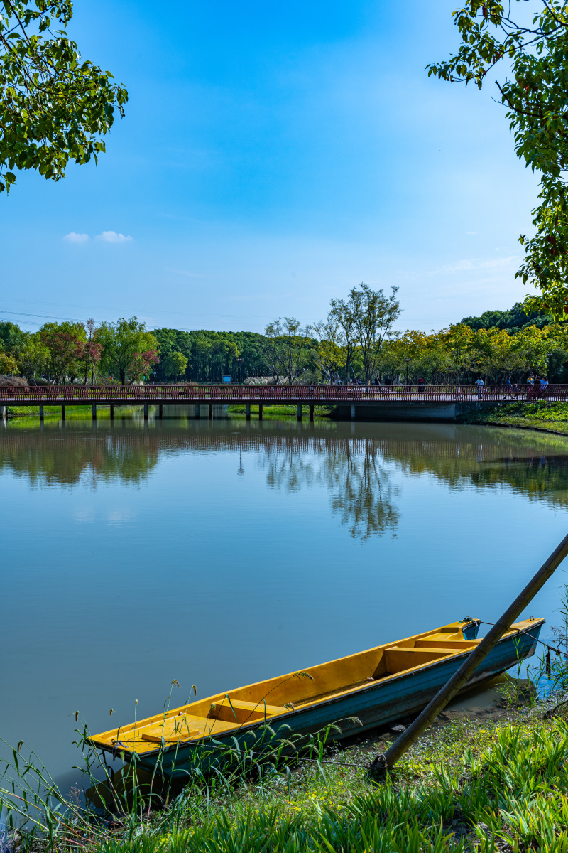 上海嘉北郊野公园稻草文化节秋天的色彩