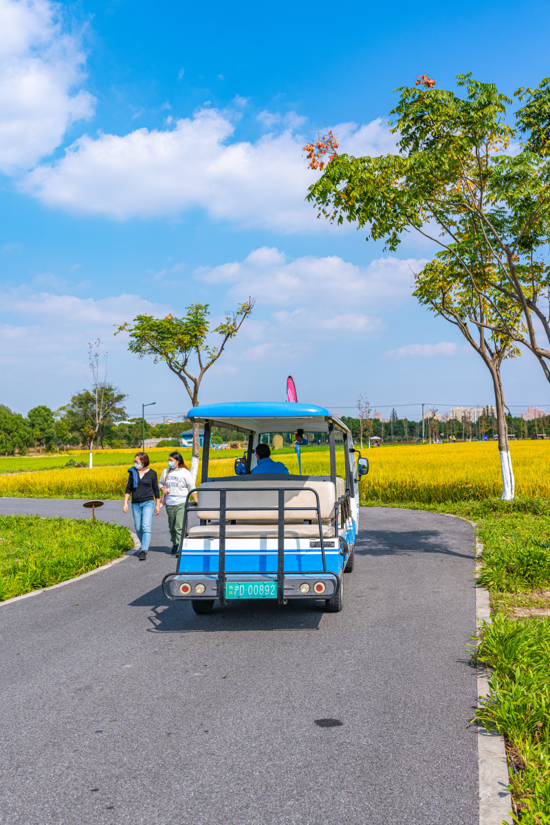 上海嘉北郊野公园稻草文化节秋天的色彩