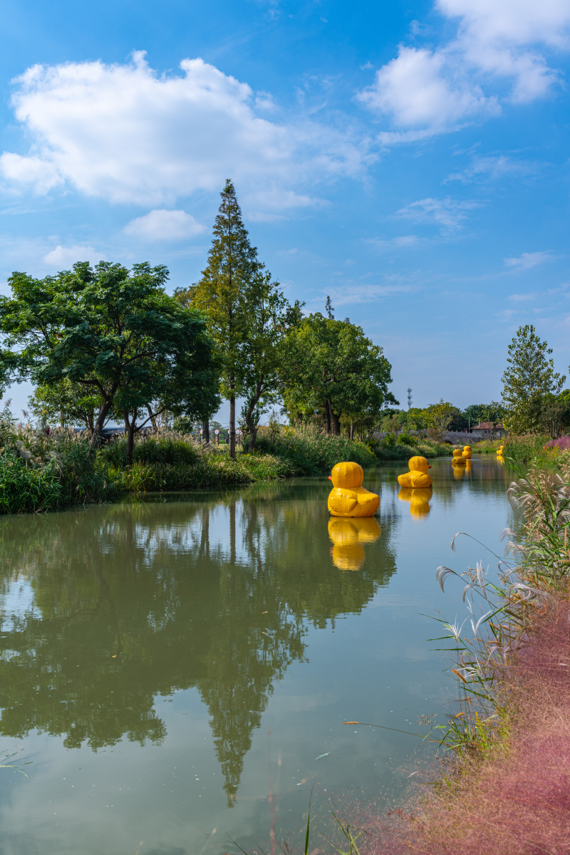 上海嘉北郊野公园稻草文化节秋天的色彩