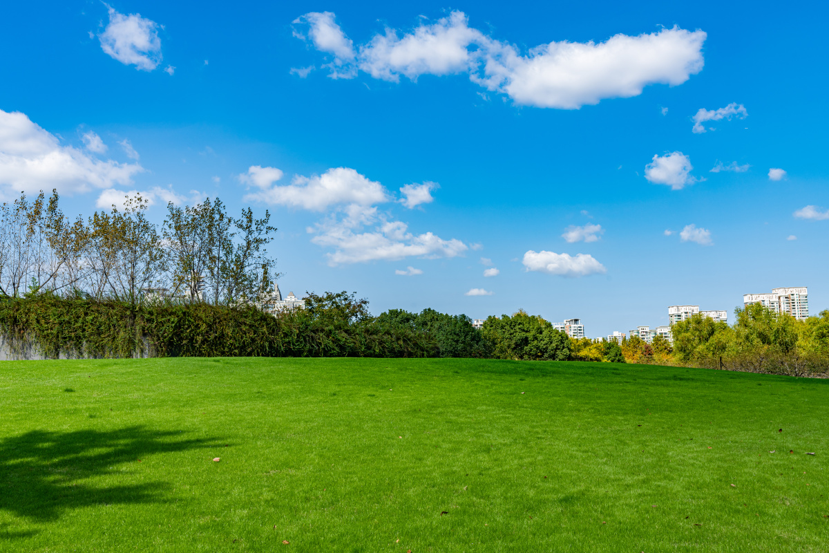 草坪草地背景素材 - 梦未止梦dreamcont - 图虫