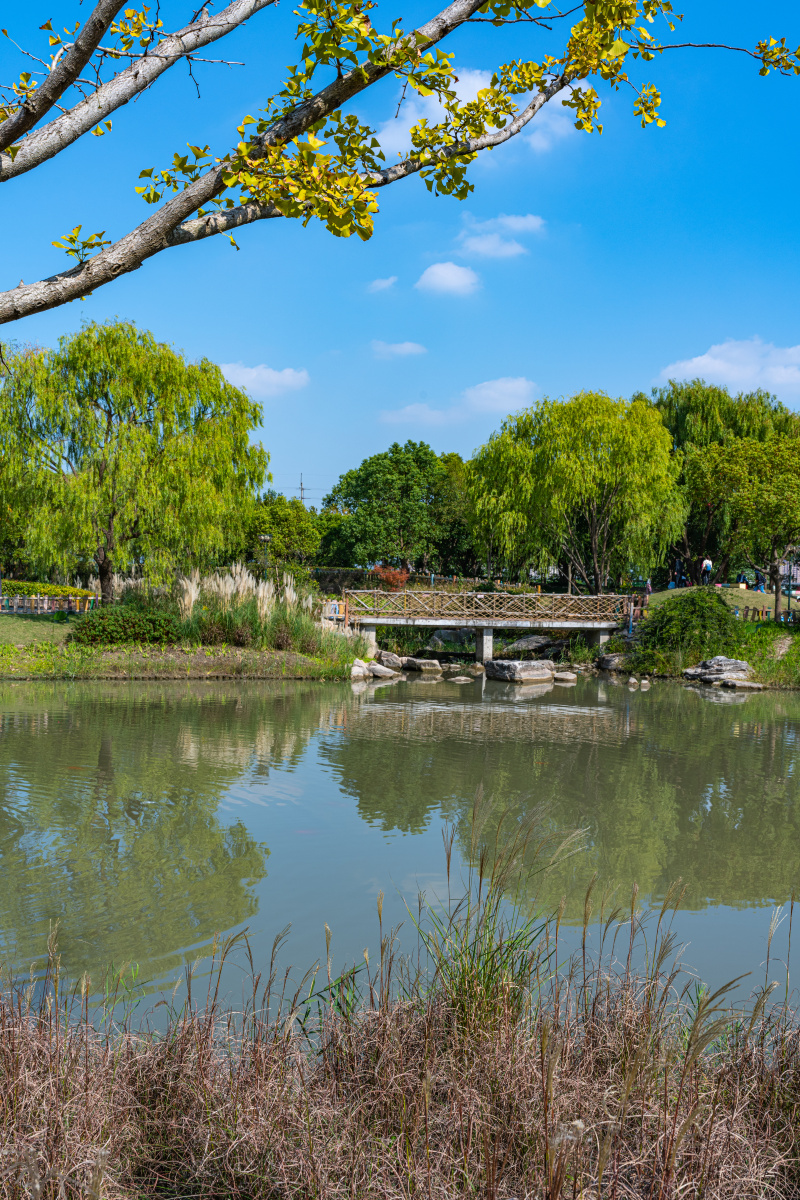 上海嘉北郊野公园稻草文化节秋天的色彩