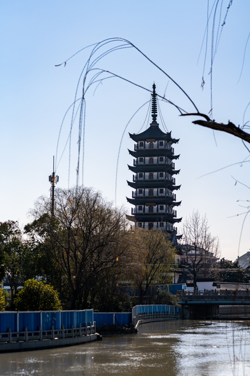 上海普陀真如公园.冬日看真如寺塔