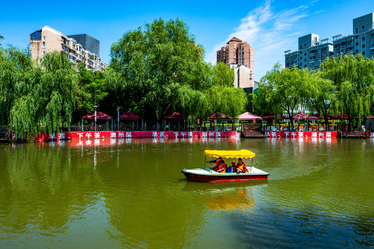 上海大宁郁金香公园景观大宁灵石公园风光