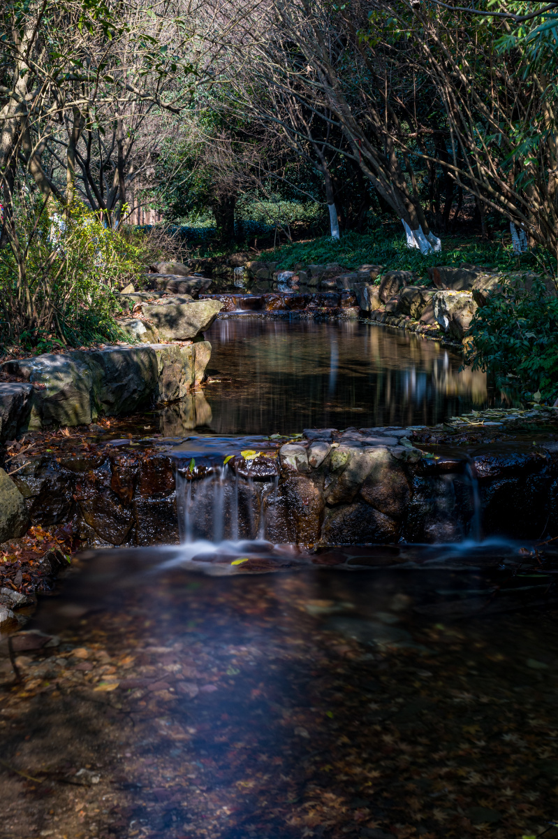 浙江杭州九溪烟树九溪十八涧西湖龙井茶基地