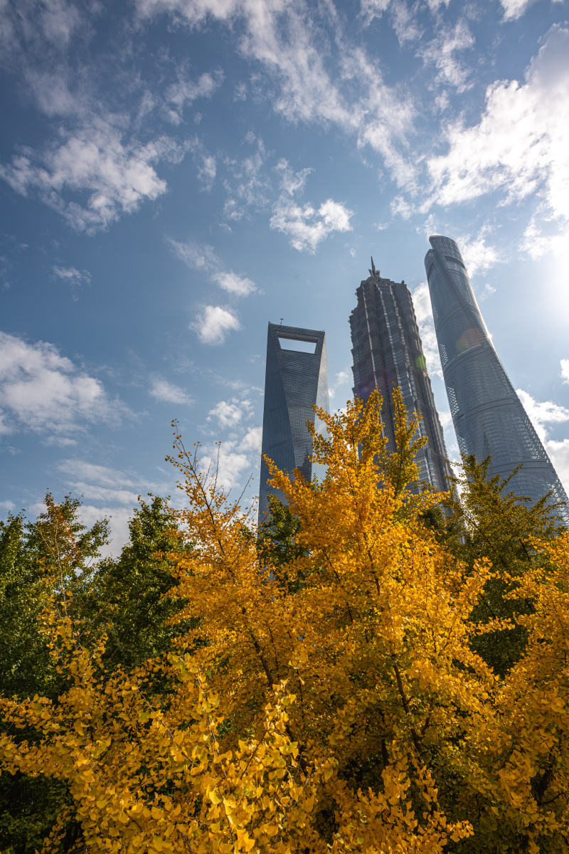 上海浦东陆家嘴城市风光上海城市天际线