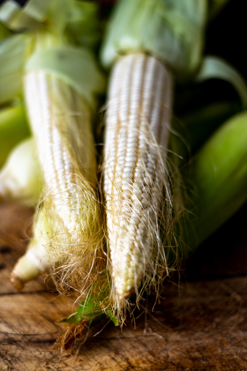 玉米新鲜玉米白粒玉米水果玉米玉米棒子