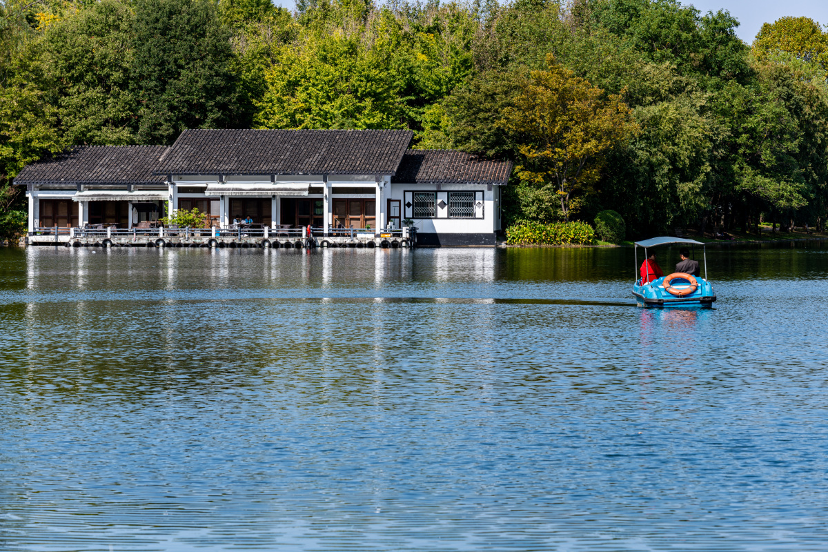 上海共青森林公园盈湖倒影