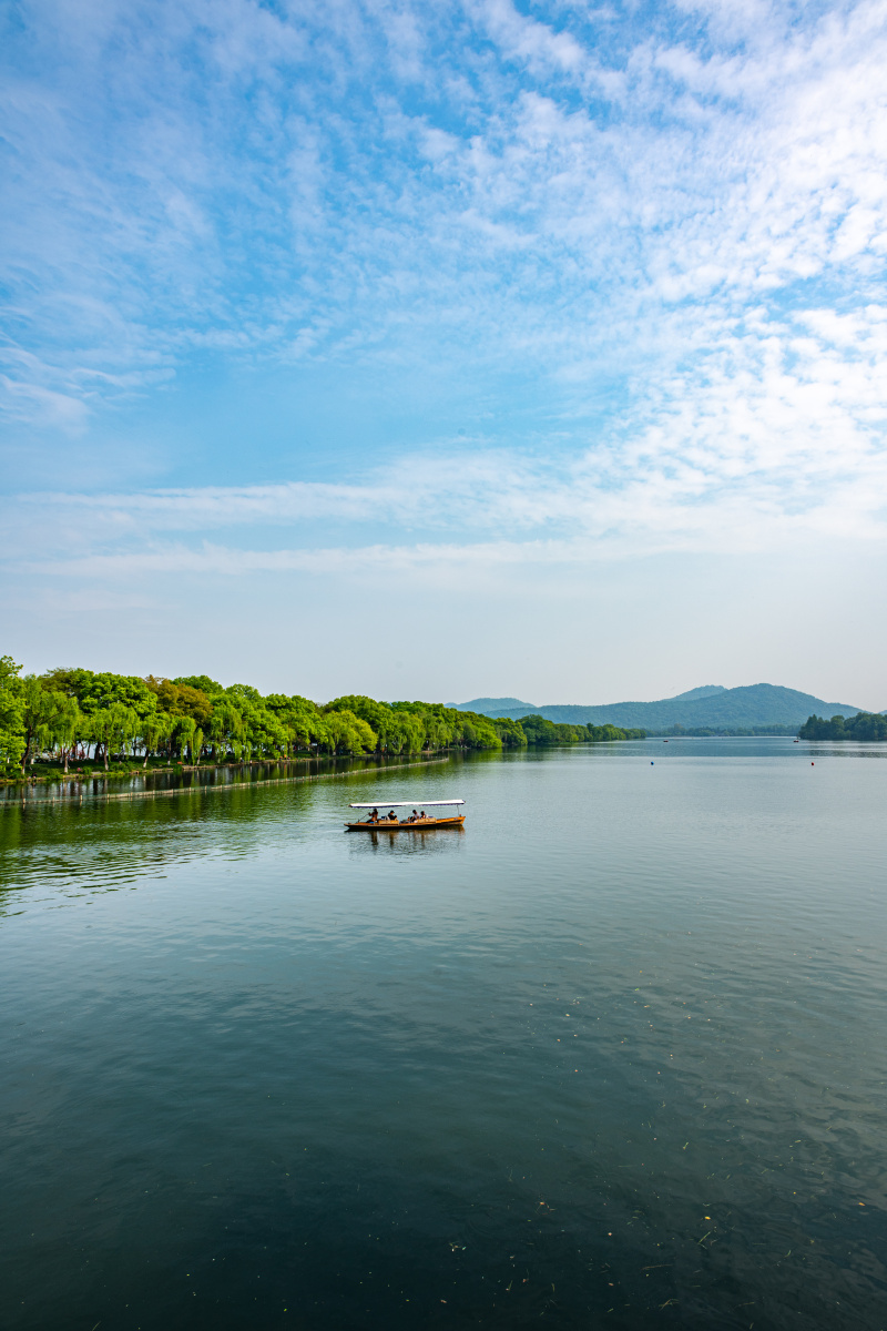 浙江杭州西湖曲院风荷春色