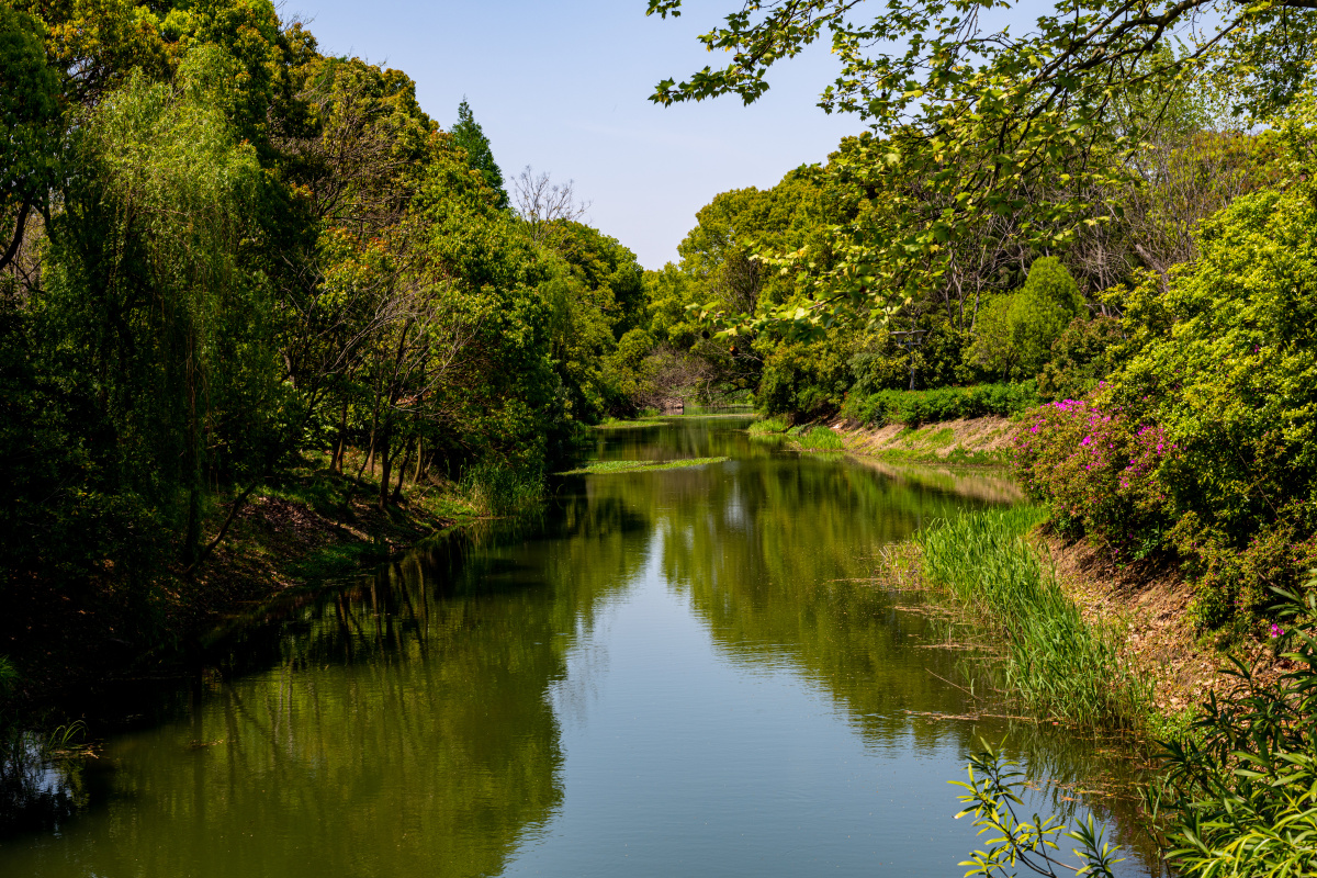 江苏无锡蠡湖中央公园