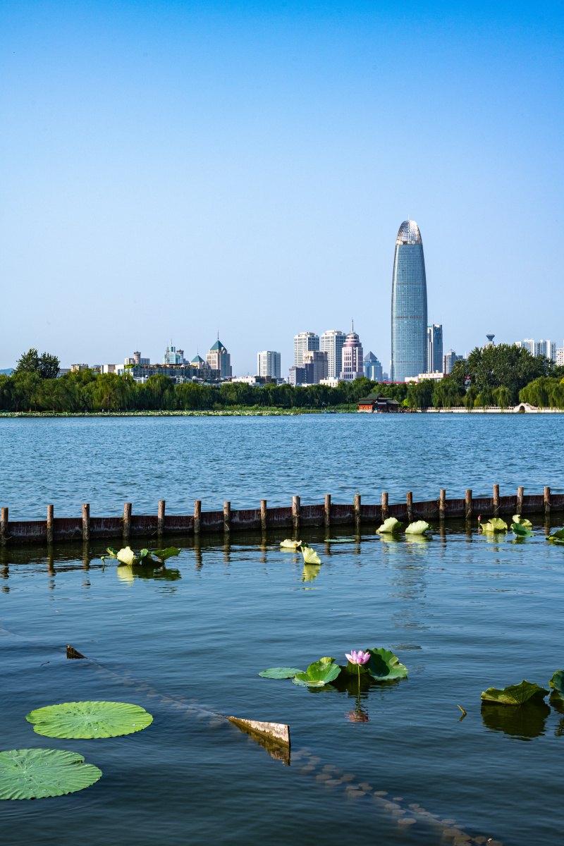 济南大明湖风景区荷花莲花绿地中心建筑风光
