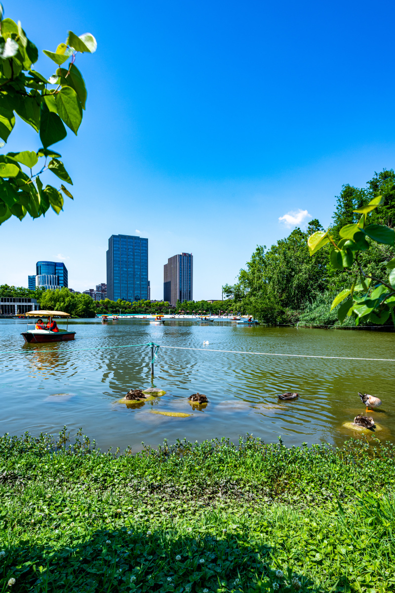 上海大宁郁金香公园景观大宁灵石公园风光