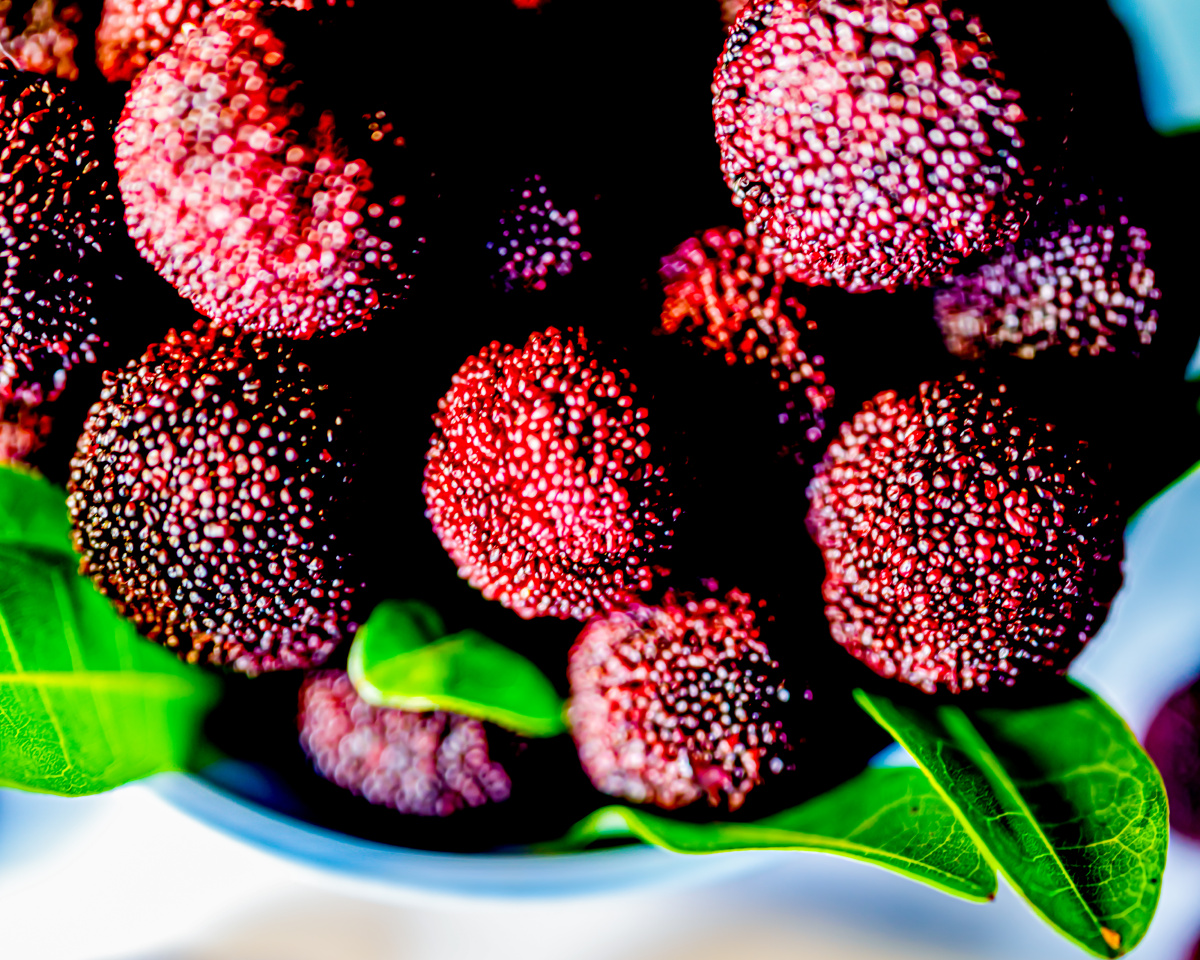 杨梅水果季杨梅果实杨梅水果新鲜的杨梅