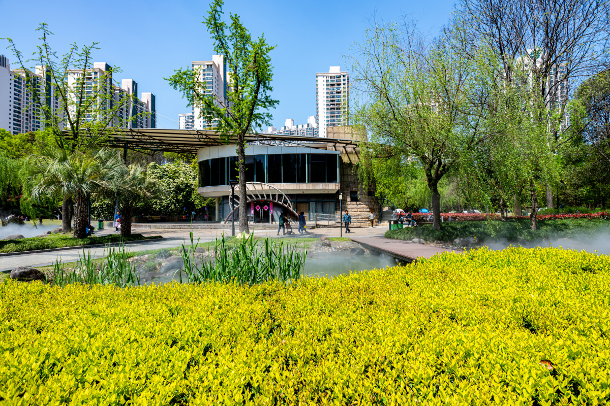 上海普陀苏州河梦清园环保主题公园春色