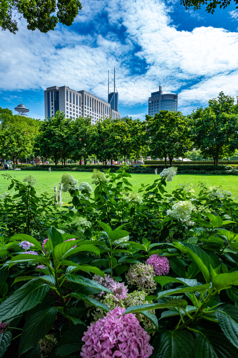 上海人民广场夏天