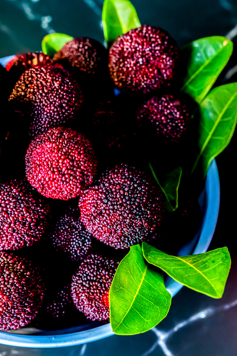 杨梅水果杨梅果实