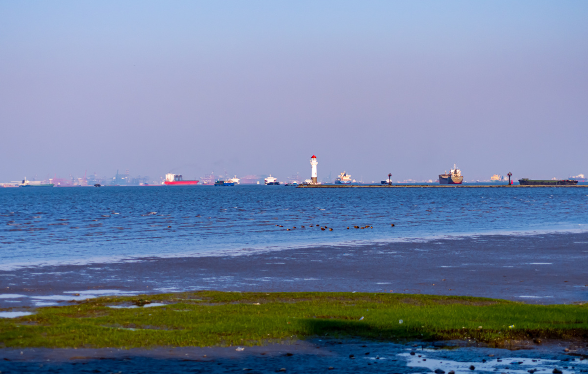 上海宝山上海吴淞炮台湾国家湿地公园