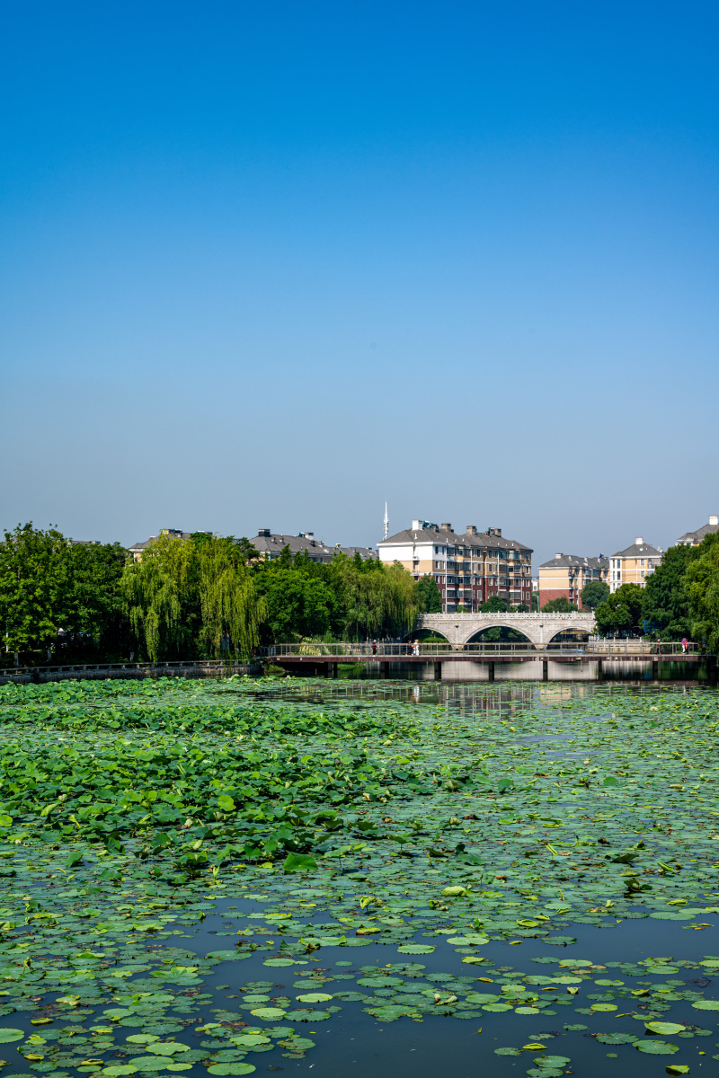 江苏苏州石湖风景区上方山苏州植物园