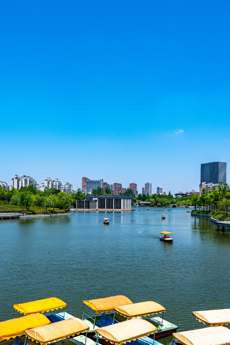 上海大宁郁金香公园景观大宁灵石公园风光