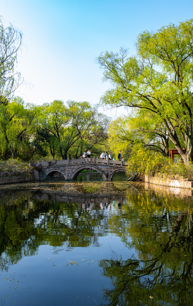 上海共青森林公园丛林秘境春色无边盈湖倒影